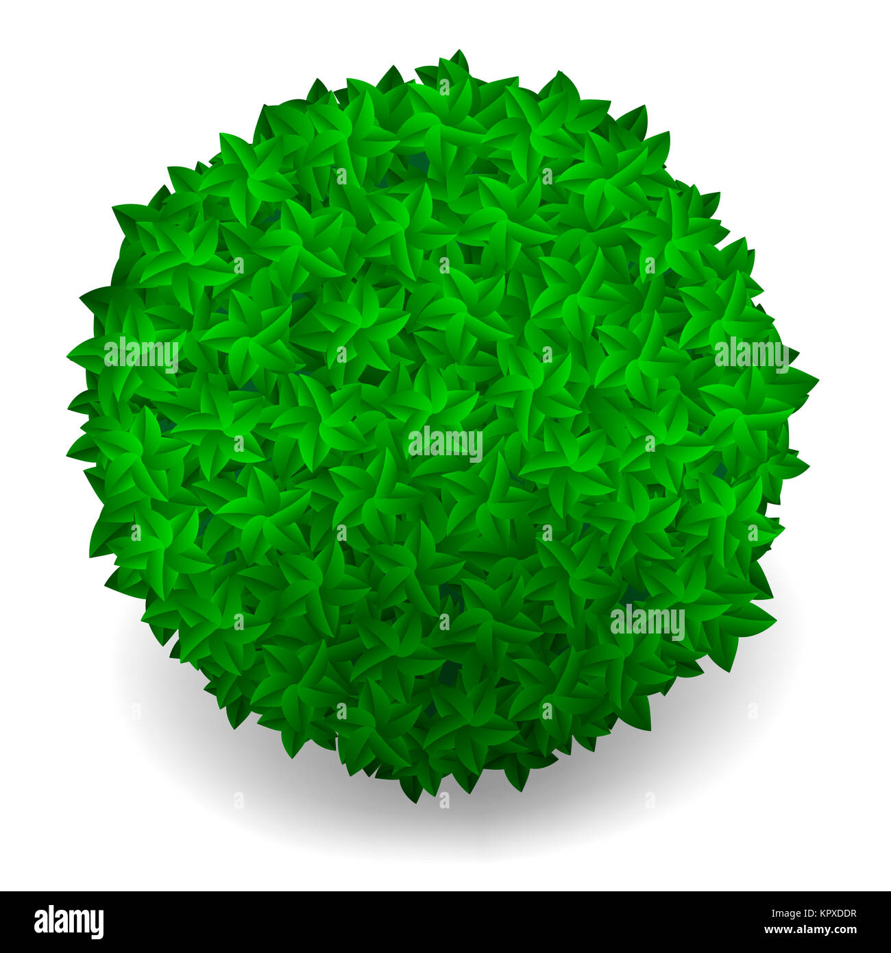 Leaf With Rounded Connected Green Leaves Round Isolated Stock Photo - Alamy