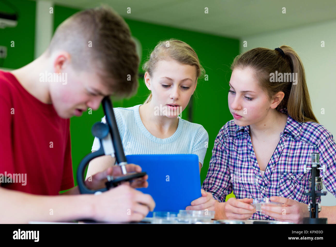 Using Microscopes in a Science Lesson Stock Photo Alamy