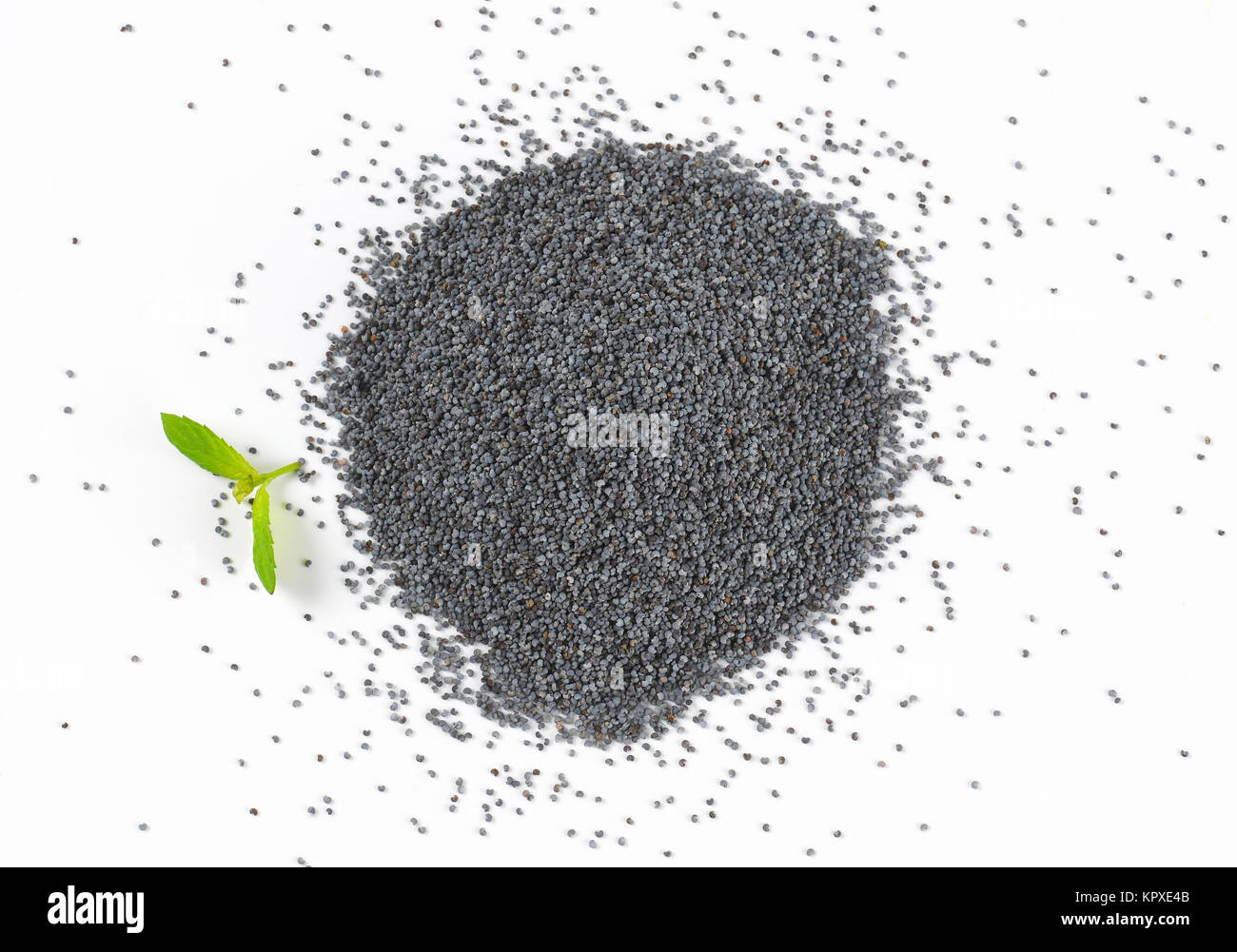 pile of poppy seeds Stock Photo Alamy