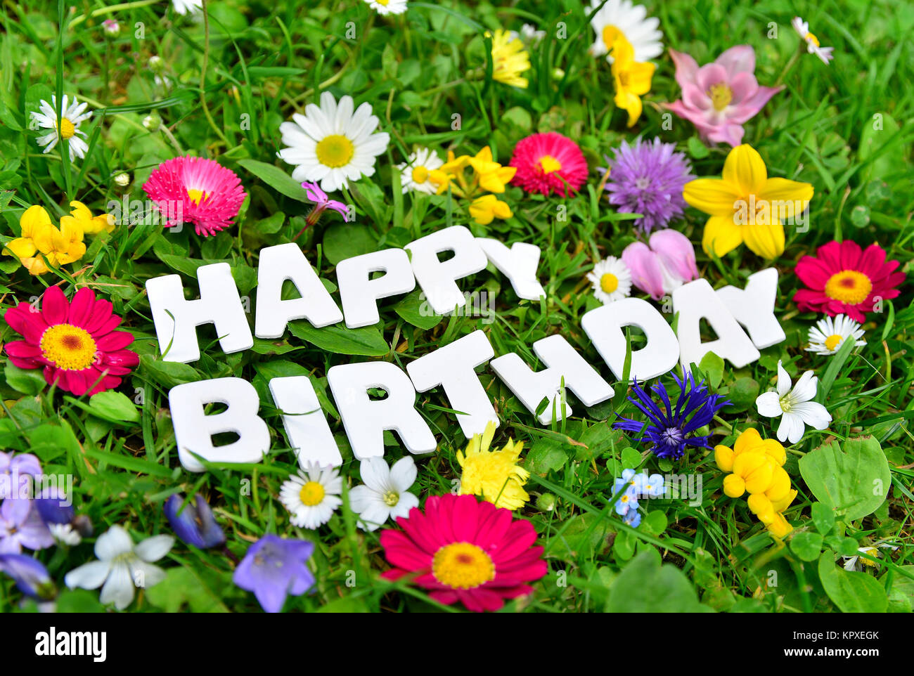 Happy Birthday Text On Colorful Flower Meadow Stock Photo Alamy Happy Birthday Text On Colorful Flower Meadow Stock Photo Alamy