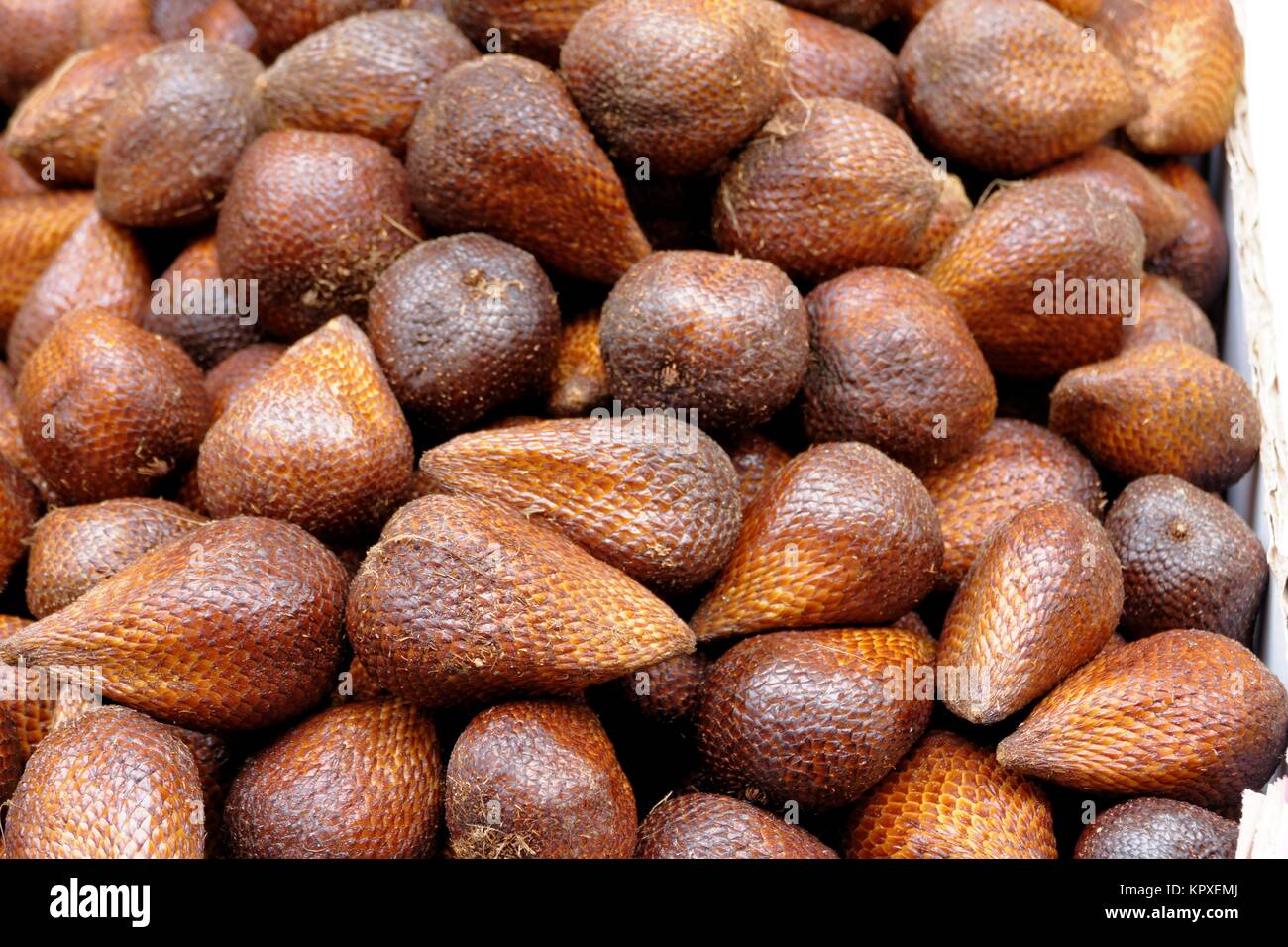 salak Stock Photo