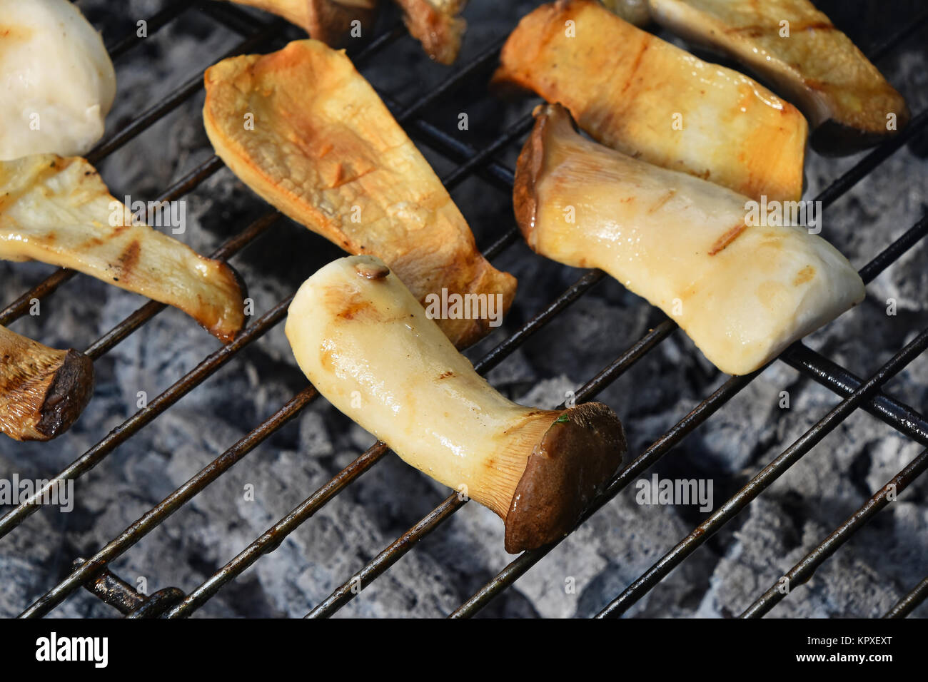 Brown king oyster mushrooms on grill Stock Photo Alamy