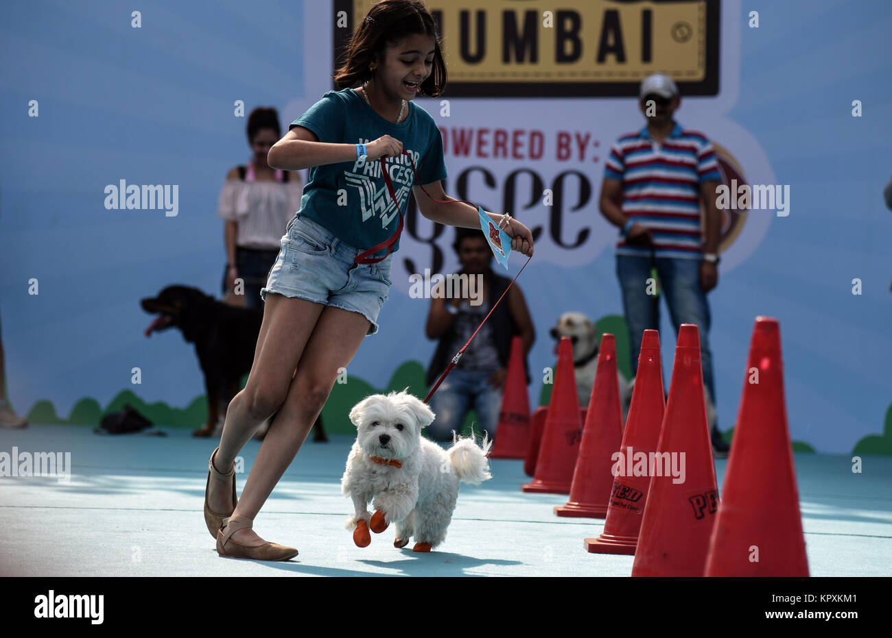 Mumbai, India. 17th Dec, 2017. A dog is petted during a pet festival in