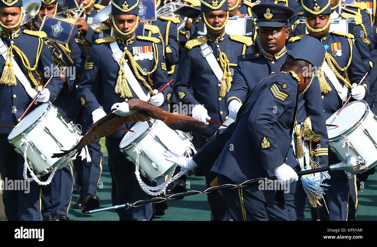 sri lanka air force girl