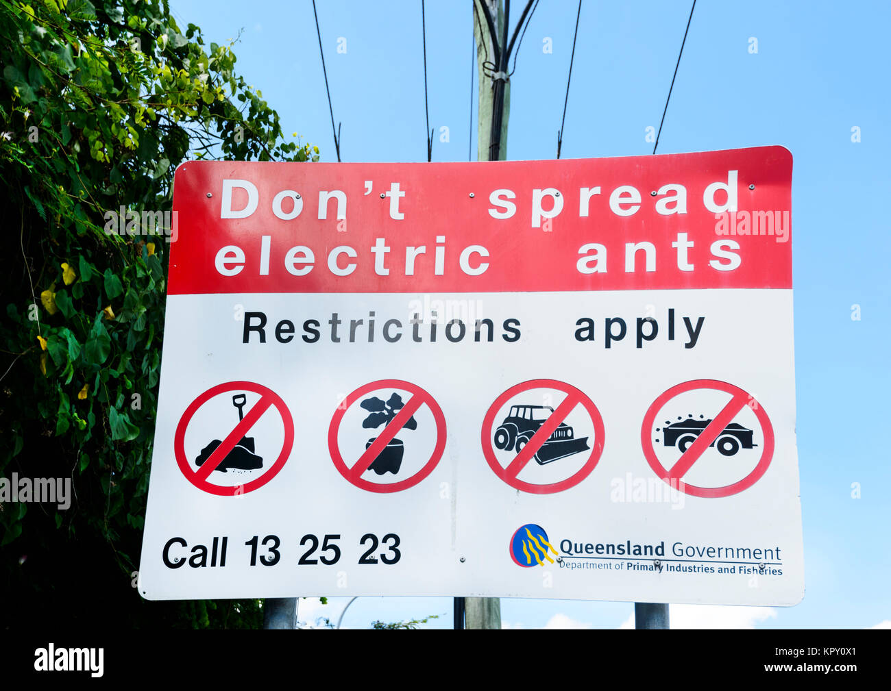 Roadside sign warning Don't spread electric ants which are an introduced species from South America, Far North Queensland, FNQ, QLD, Australia Stock Photo