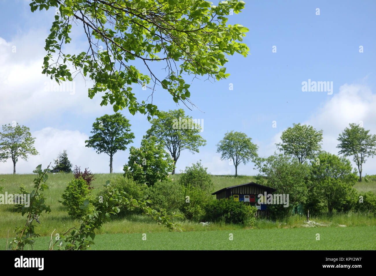 apiary in vogtland orchard Stock Photo