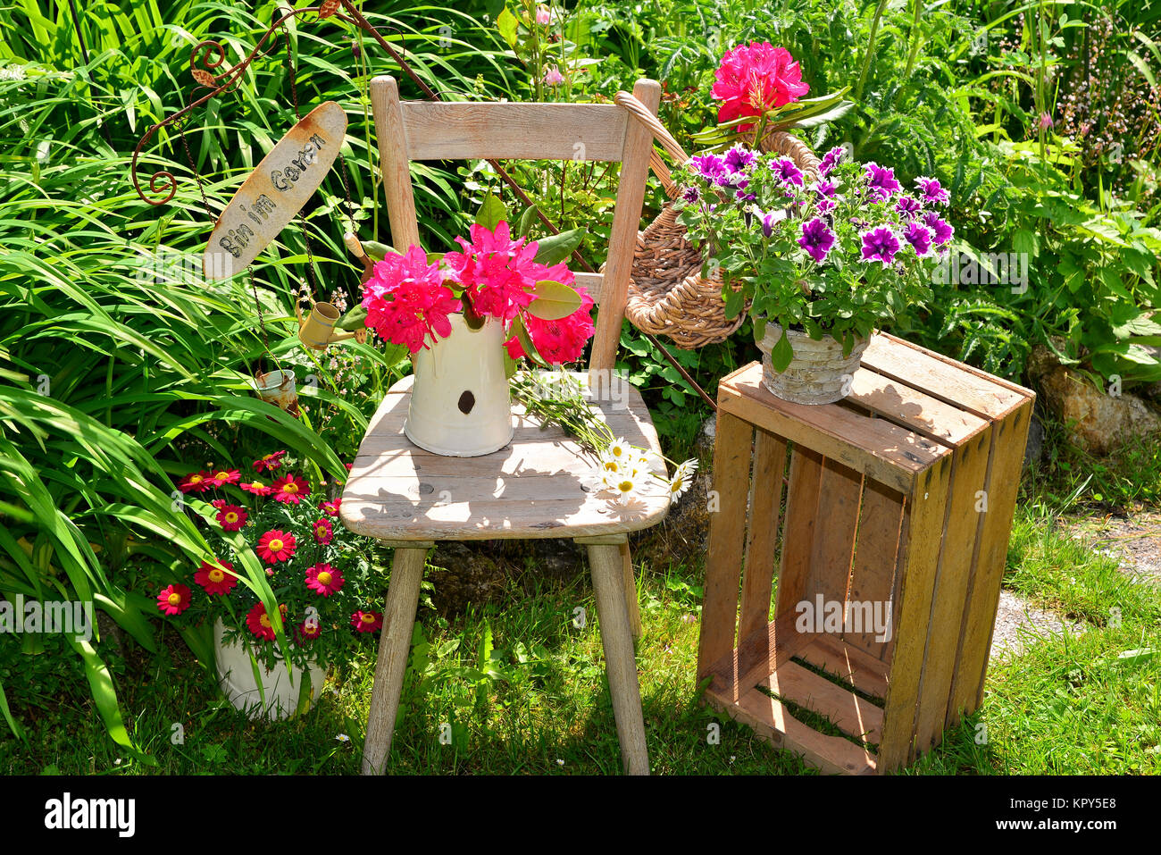alter Stuhl im Garten mit Blumen im Frühling Stock Photo