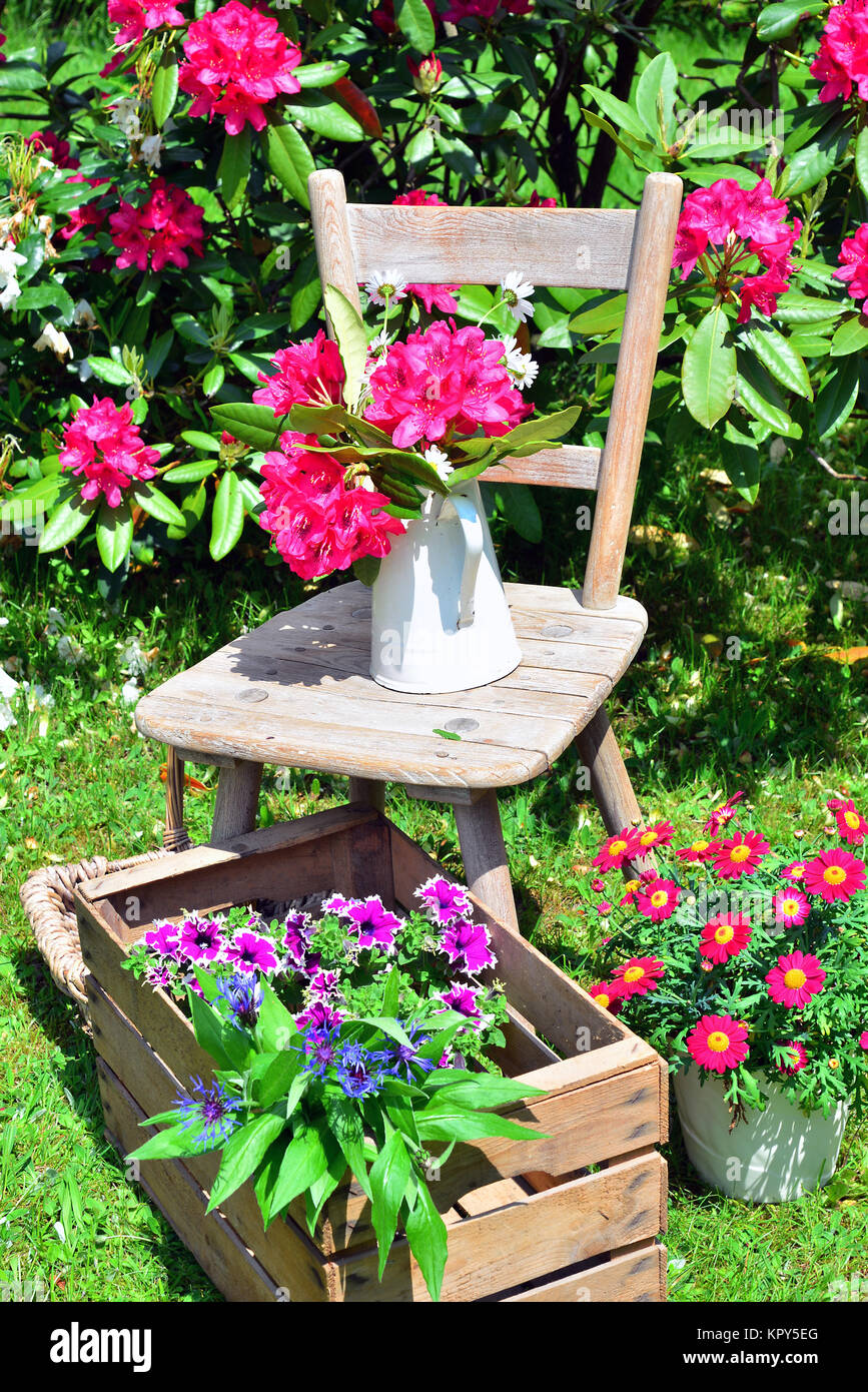 alter Stuhl im Garten mit Blumen im Frühling Stock Photo - Alamy