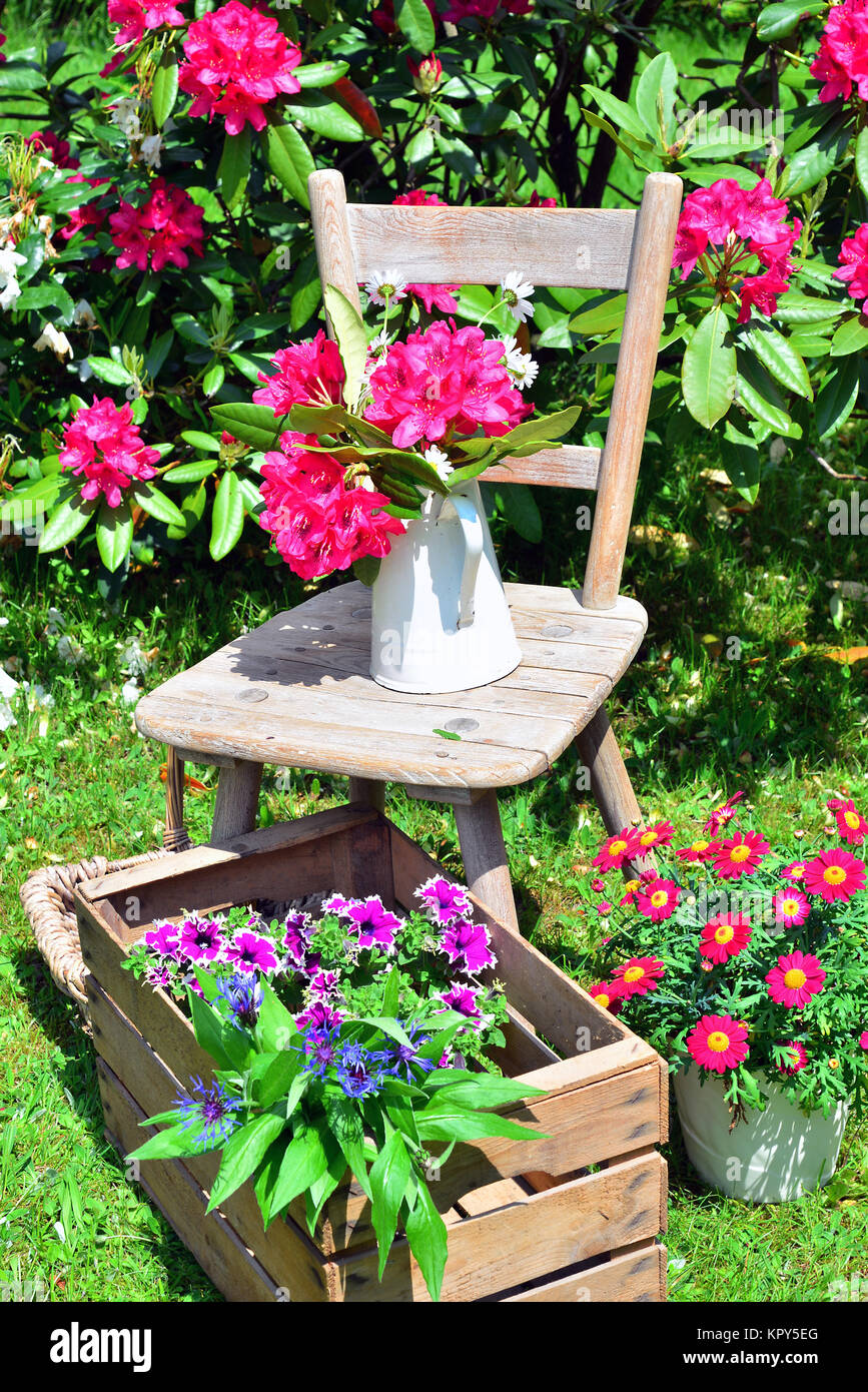 alter Stuhl im Garten mit Blumen im Frühling Stock Photo