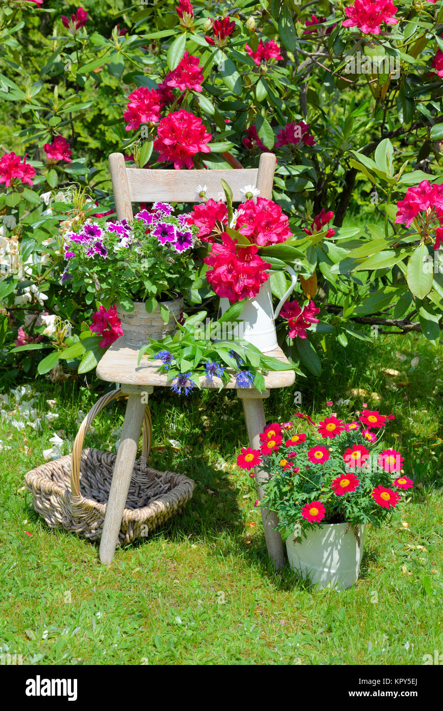 alter Stuhl im Garten mit Blumen im Frühling Stock Photo