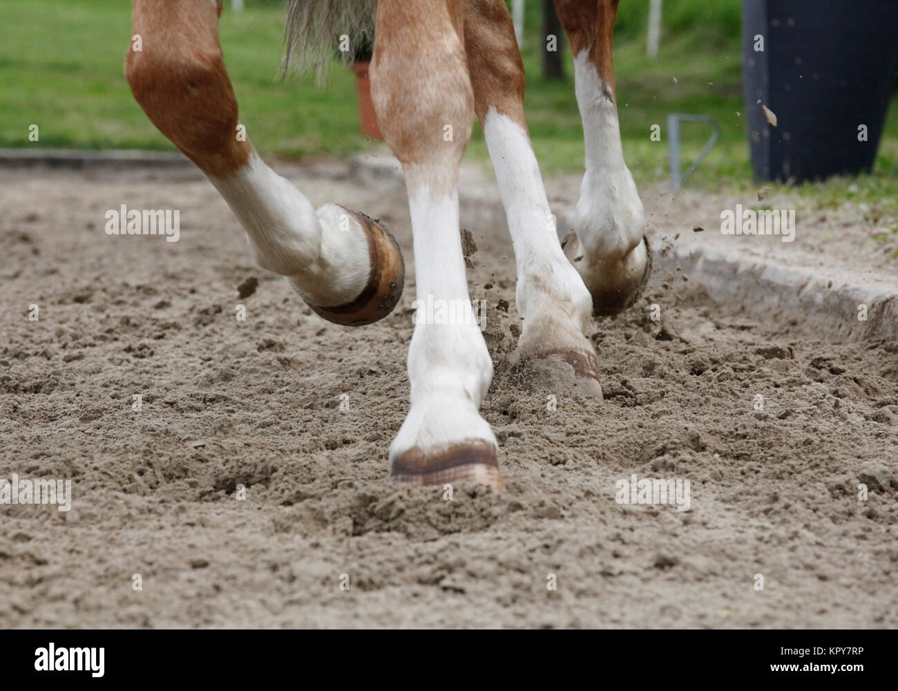 riding arena floor Stock Photo