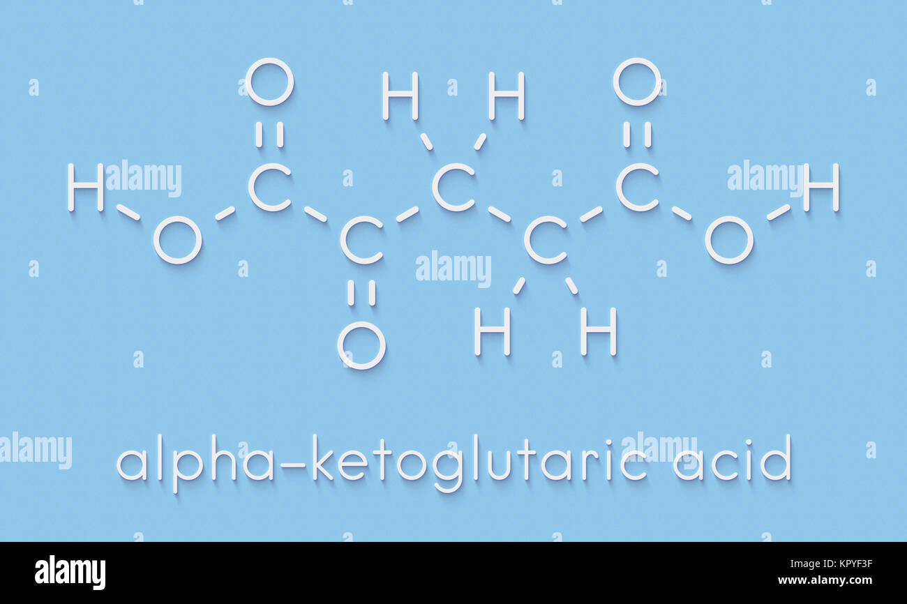 Ketoglutaric hi-res stock photography and images - Alamy
