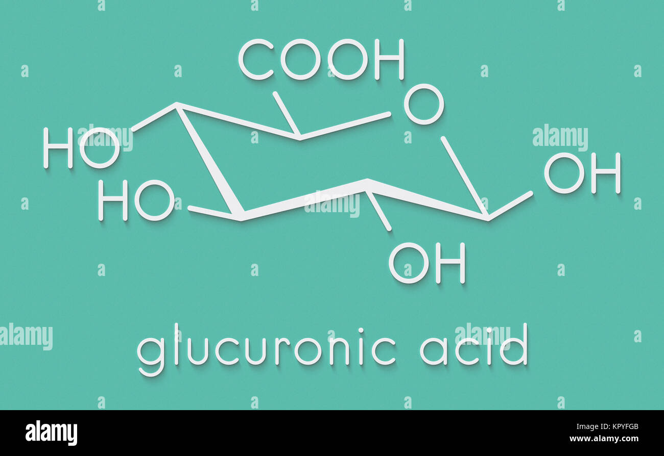 Glucuronic acid molecule. Glucuronidation of xenobiotics plays role in drug metabolism, giving glucuronides. Skeletal formula. Stock Photo