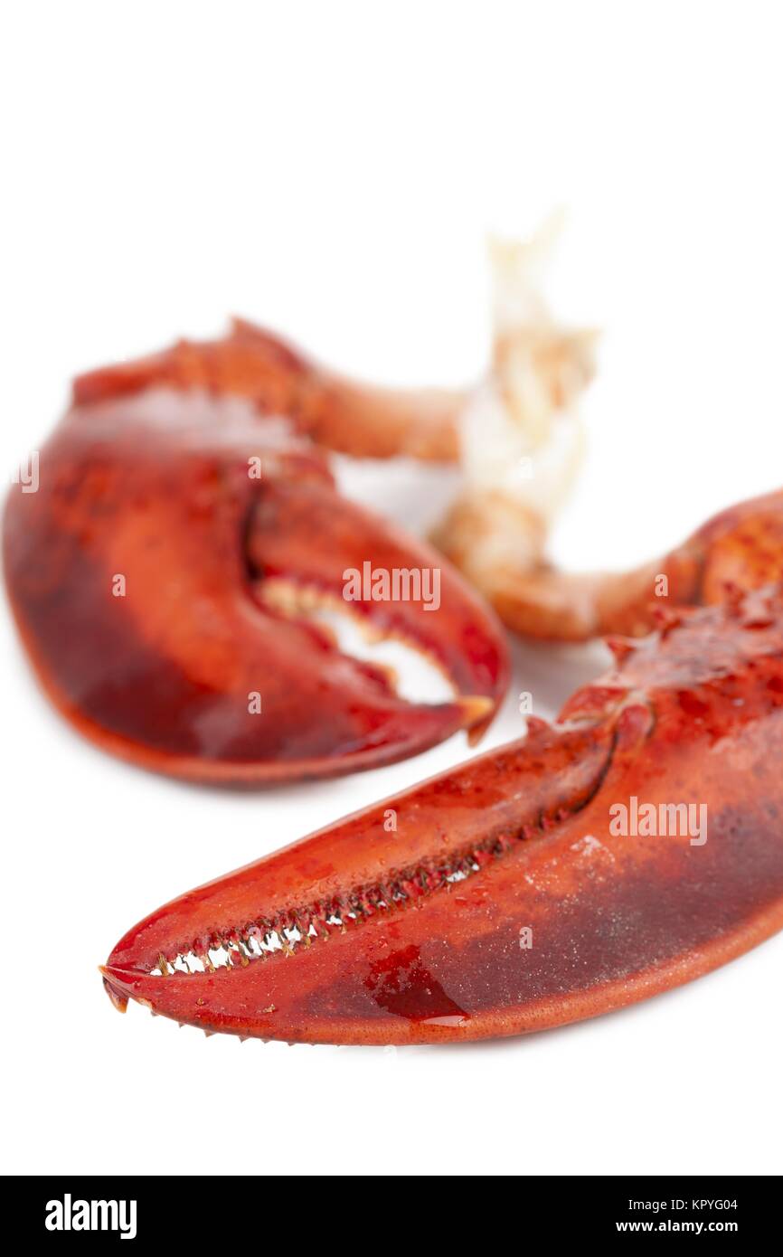 lobster claws Stock Photo