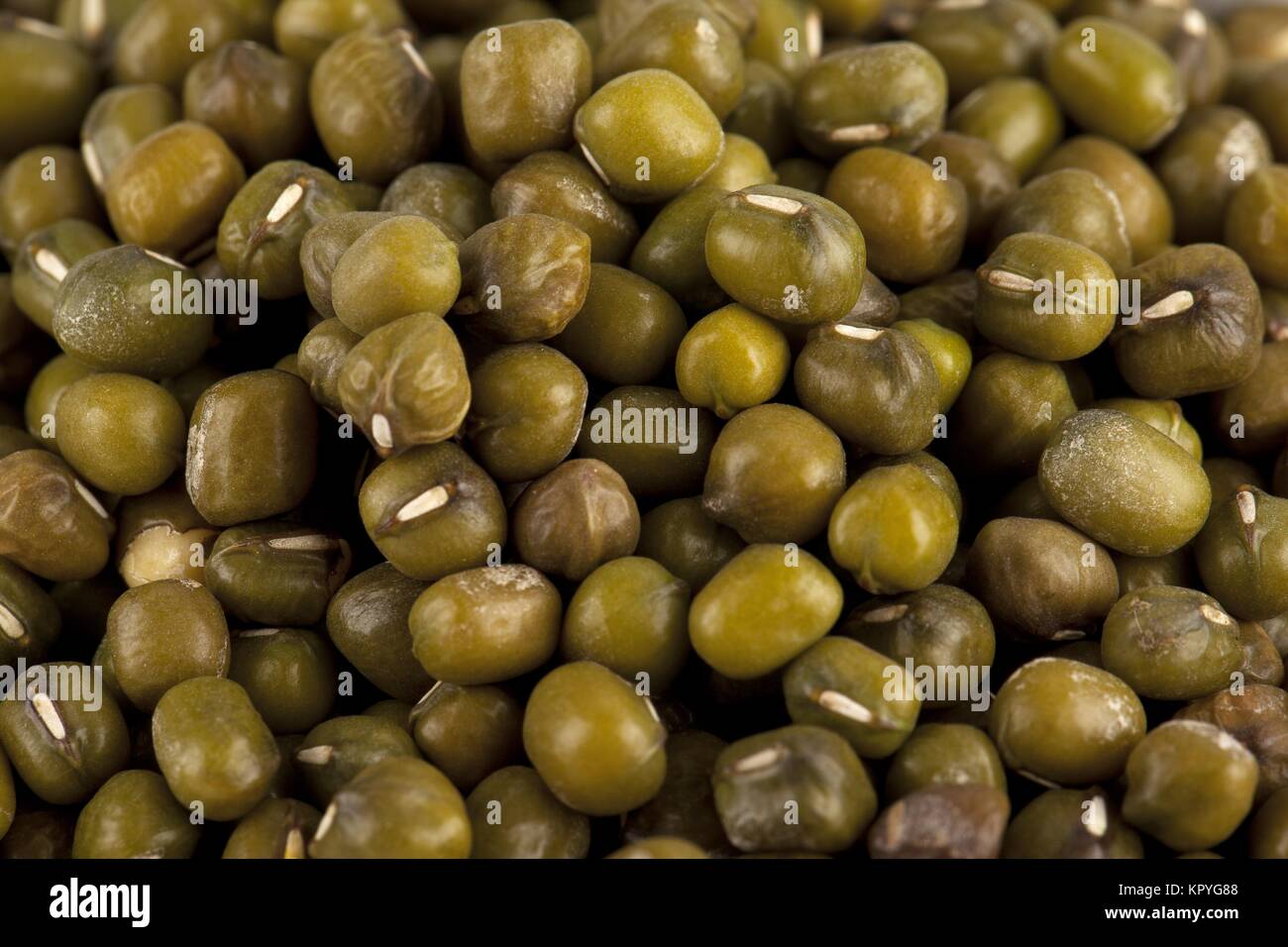 mung beans Stock Photo