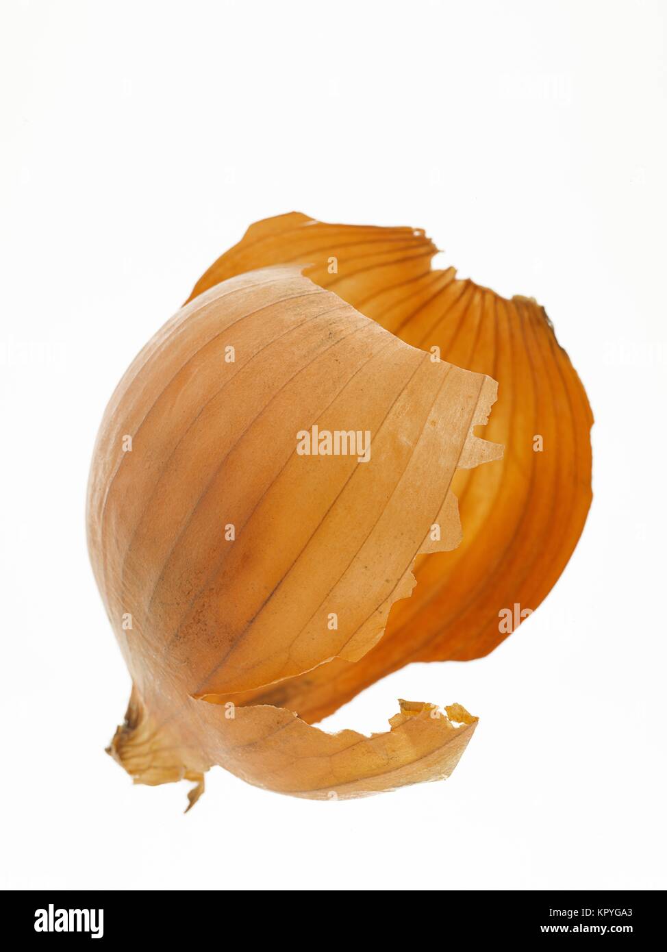 Onion Skin Stock Photo Alamy