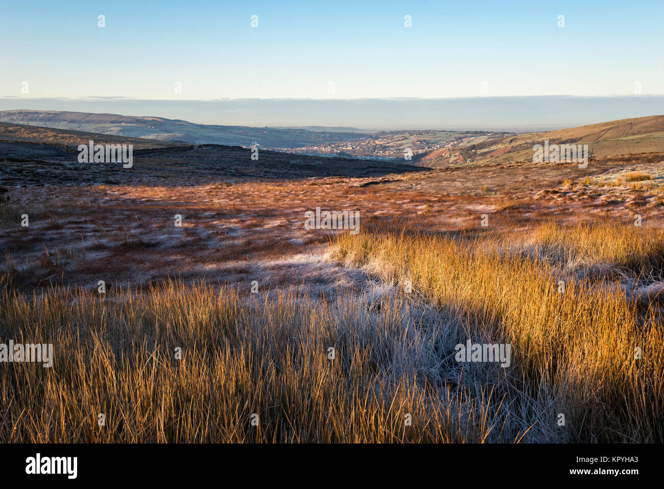 Winter colours on moorland above Hayfield village in Derbyshire, England. A cold frosty morning with the light of dawn on the grasses and heather. Stock Photo