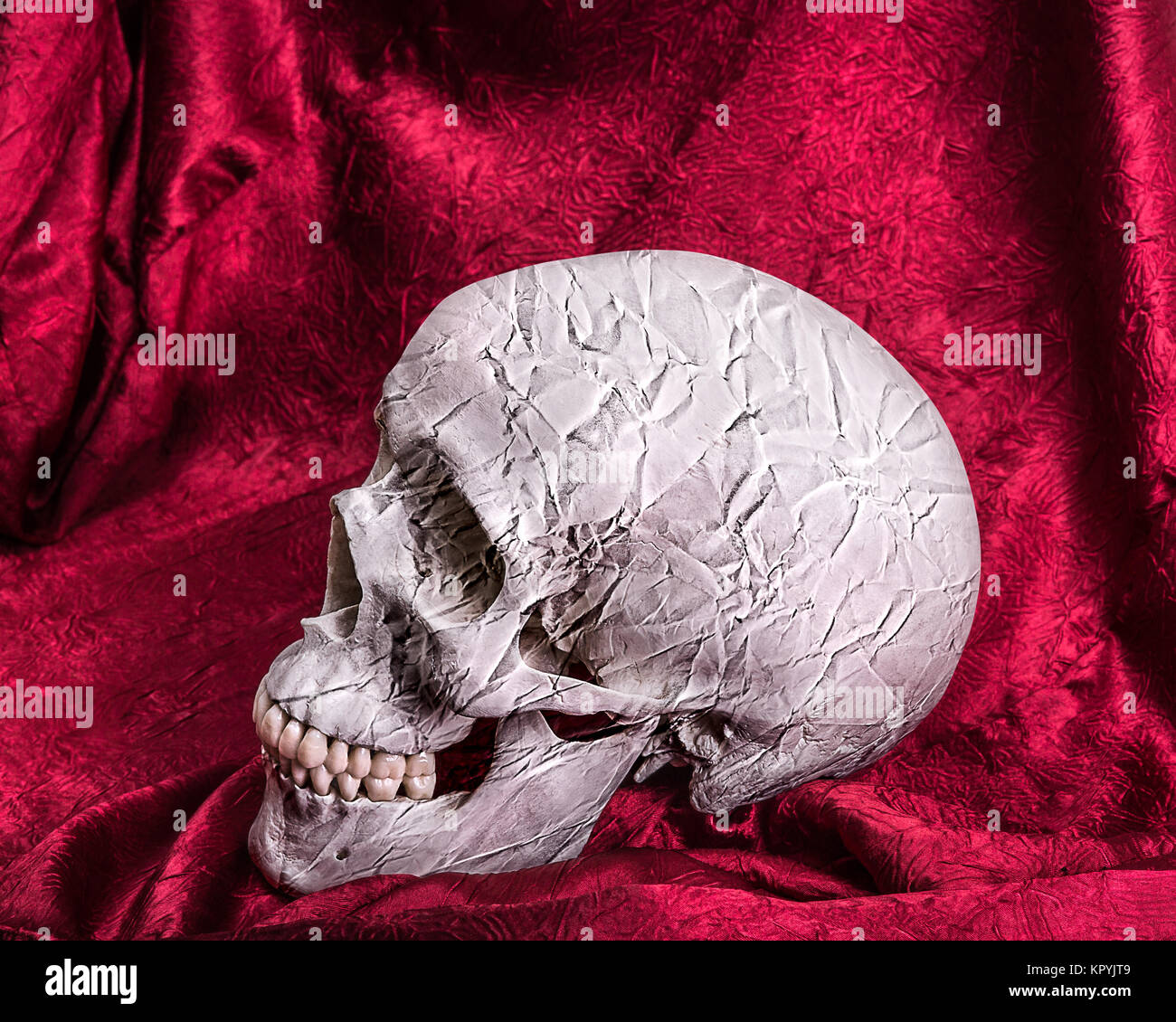 Textured skull lying on red shiny fabric. Stock Photo