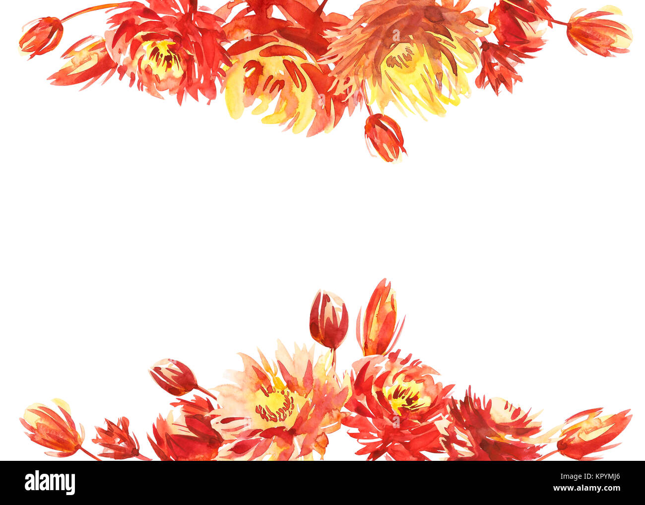 Colorful Watercolor Flower Border Painted Flower Background Isolated On White Background Stock Photo Alamy Colorful Watercolor Flower Border Painted Flower Background Isolated On White Background Stock Photo Alamy