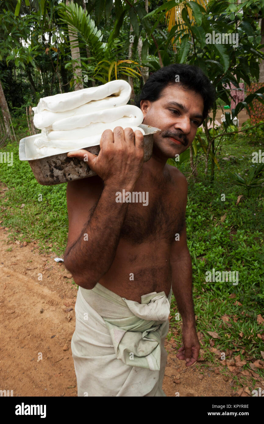 Rubber plantation in Sri Lanka Stock Photo Alamy