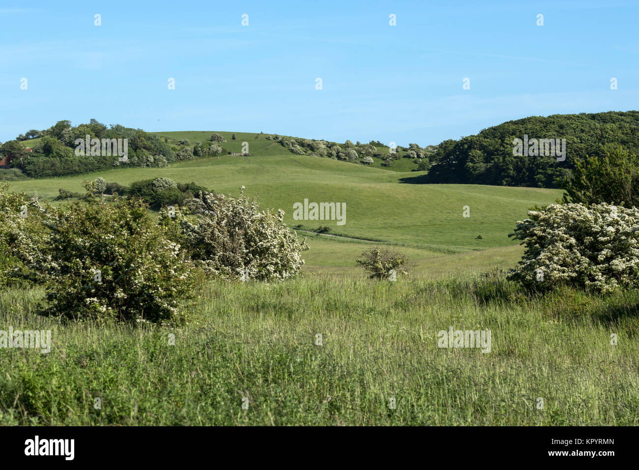 Hills and valleys, Røsnæs, Kalundborg, Denmark, the areas are protected Stock Photo