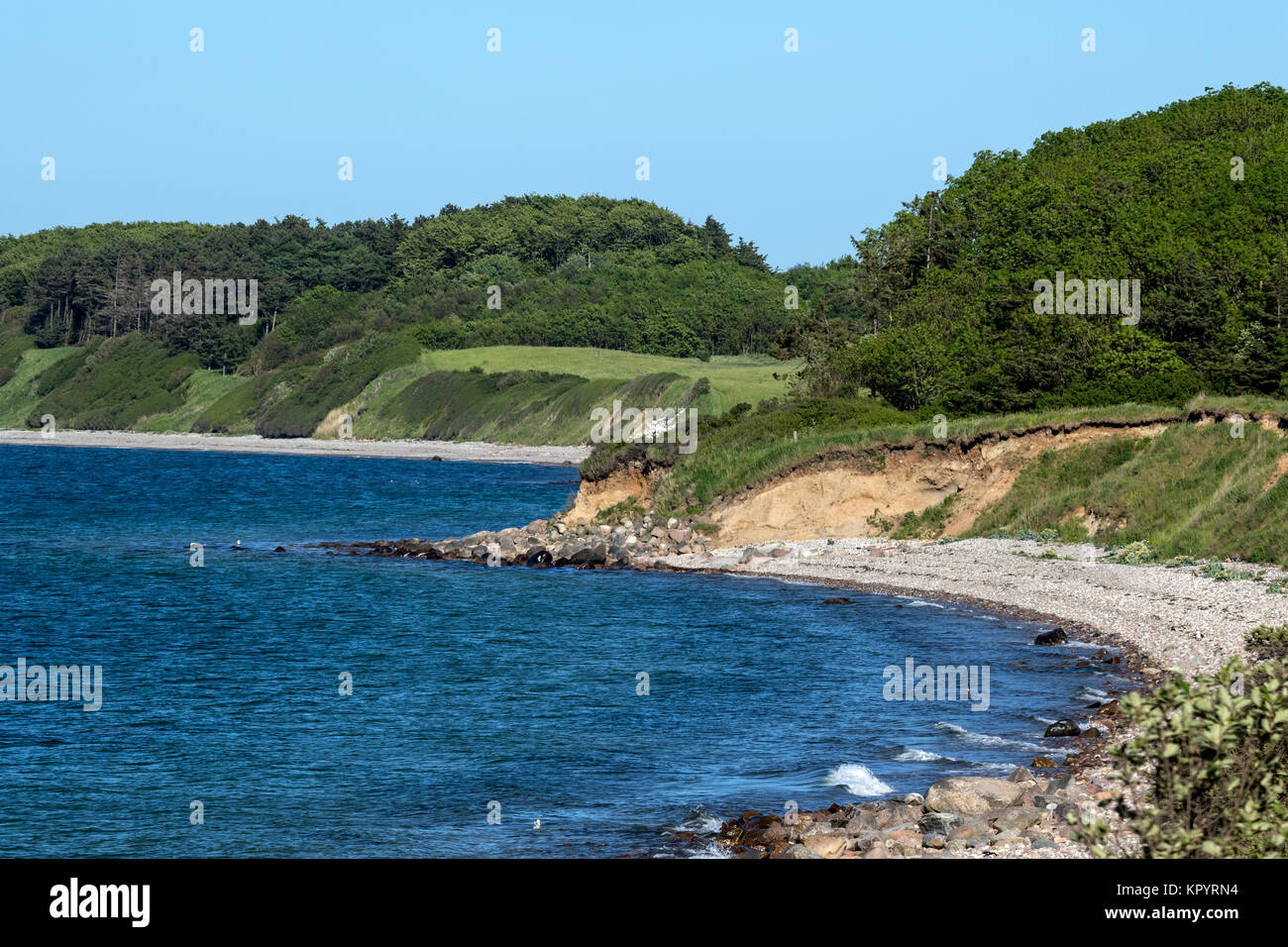 The northern coast of the tip of Røsnæs, Kalundborg, Denmark, the areas are protected Stock Photo