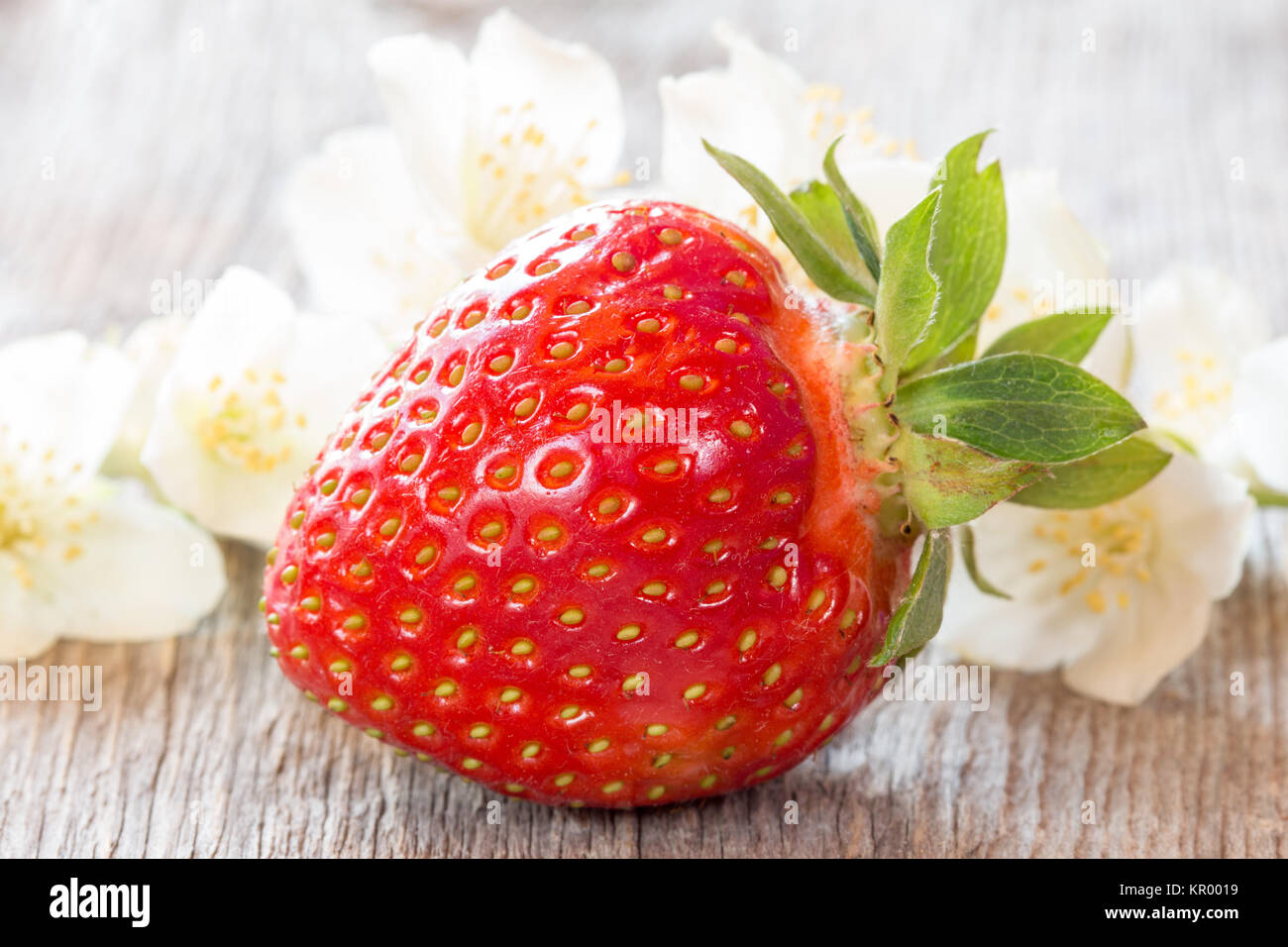 Ripe strawberry and white flowers Stock Photo - Alamy