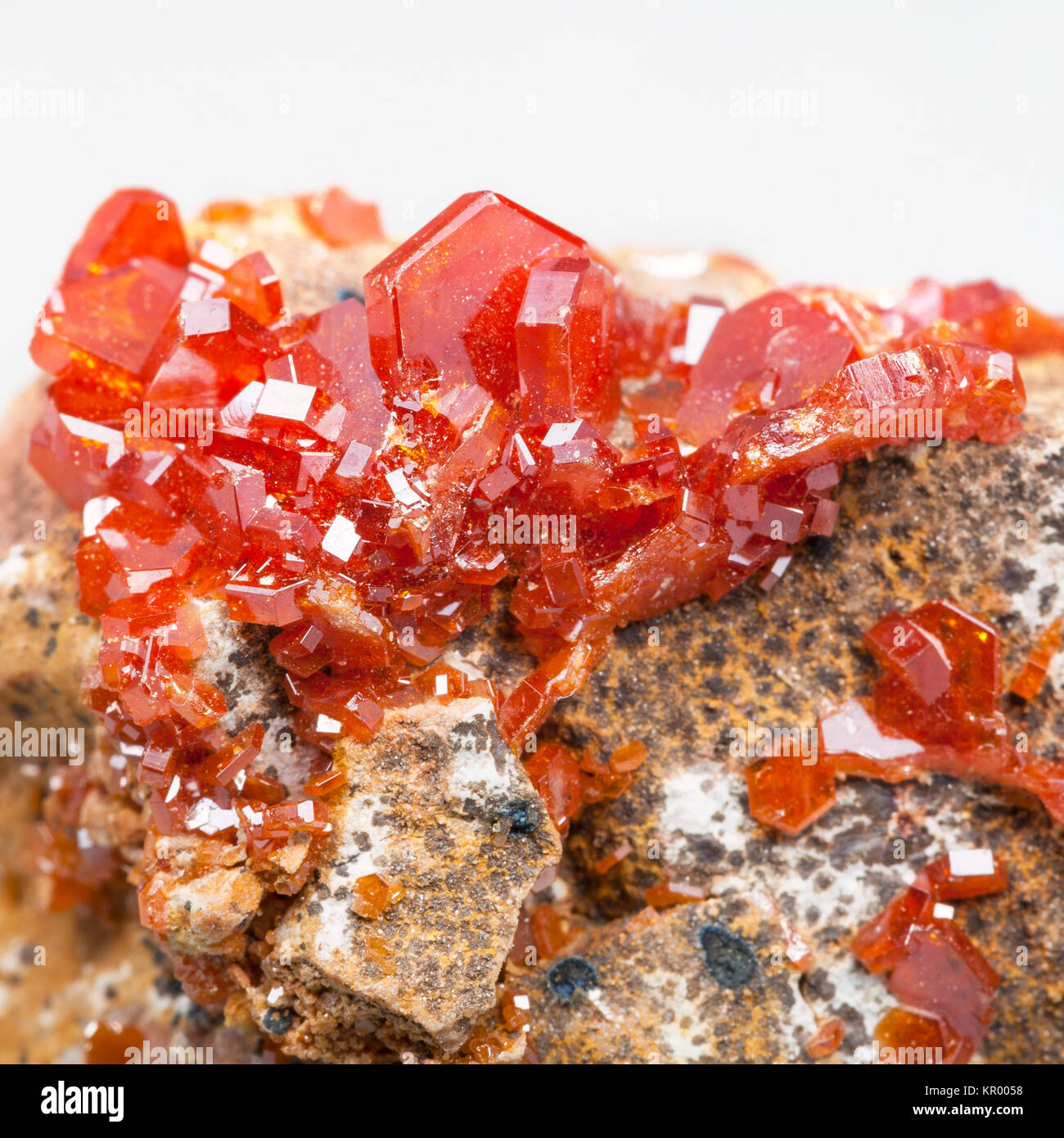 druse of red vanadinite crystals on stone close up Stock Photo