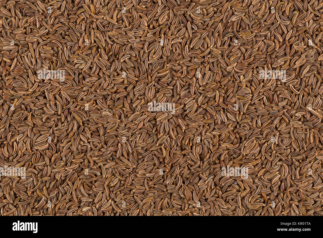 Close up caraway seeds Stock Photo - Alamy