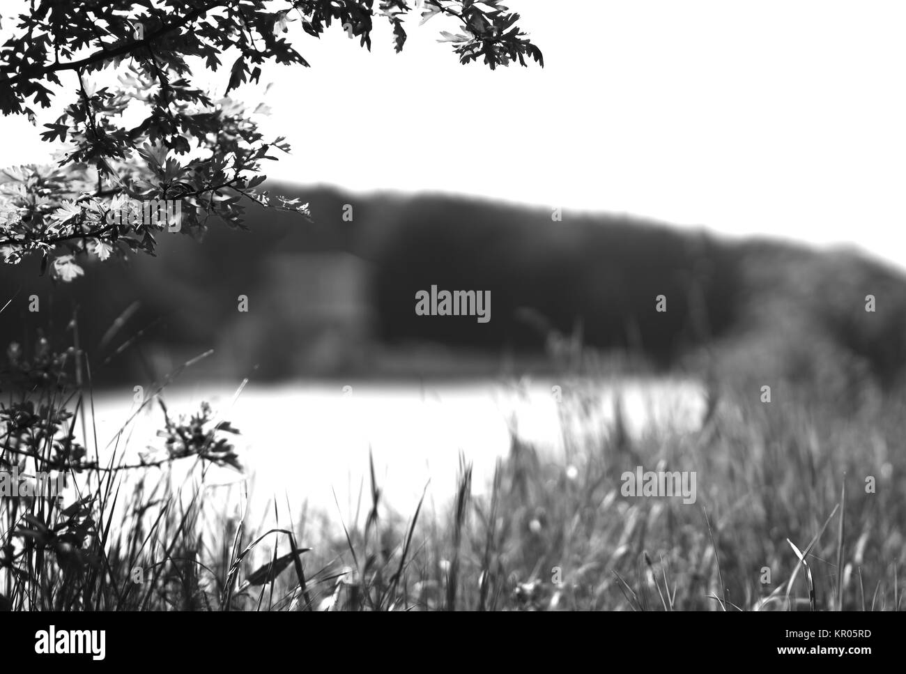 Horizontal black and white river landscape background Stock Photo Alamy