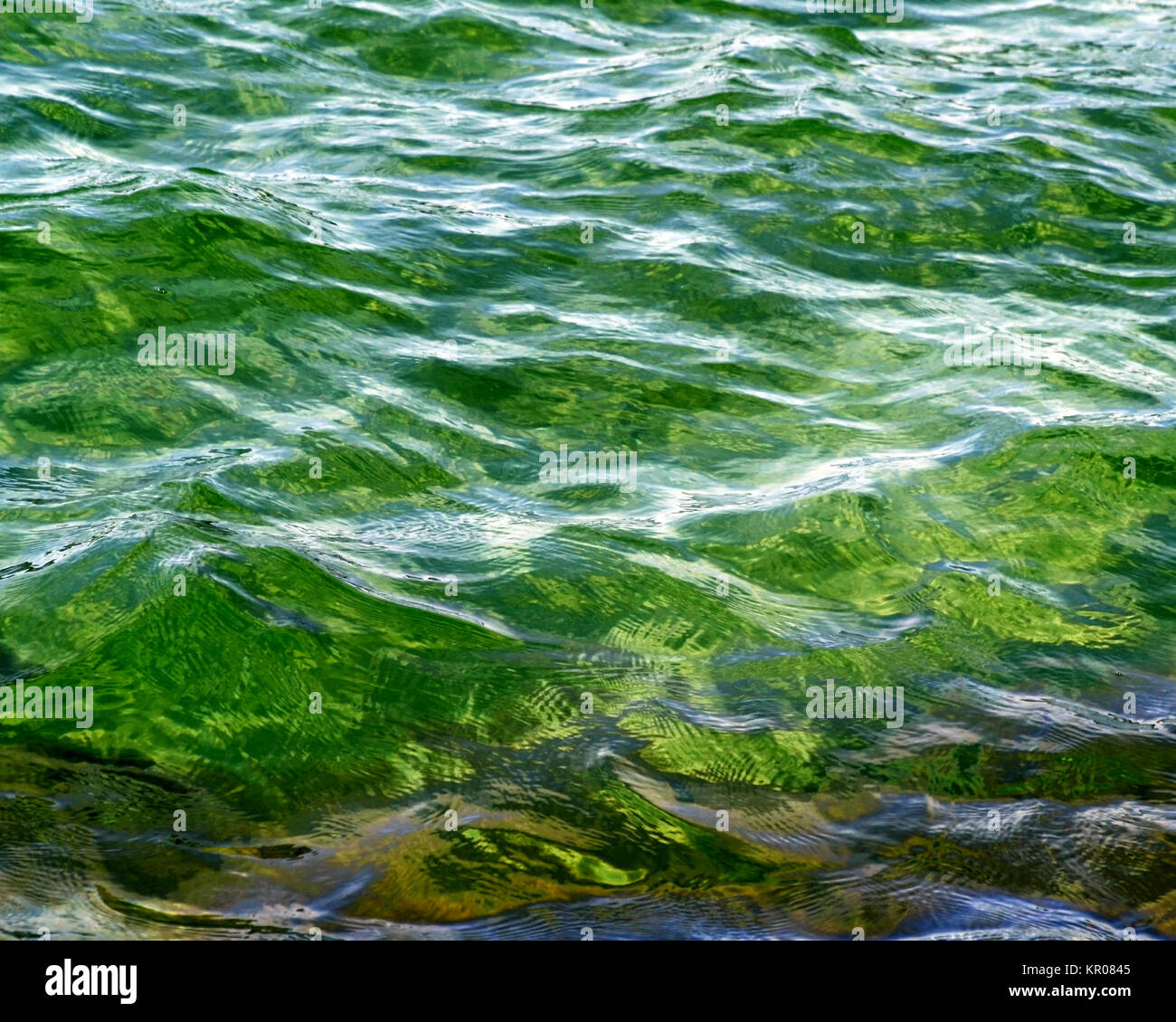 Beautiful Emerald green waters with soft ripples on surface Stock Photo