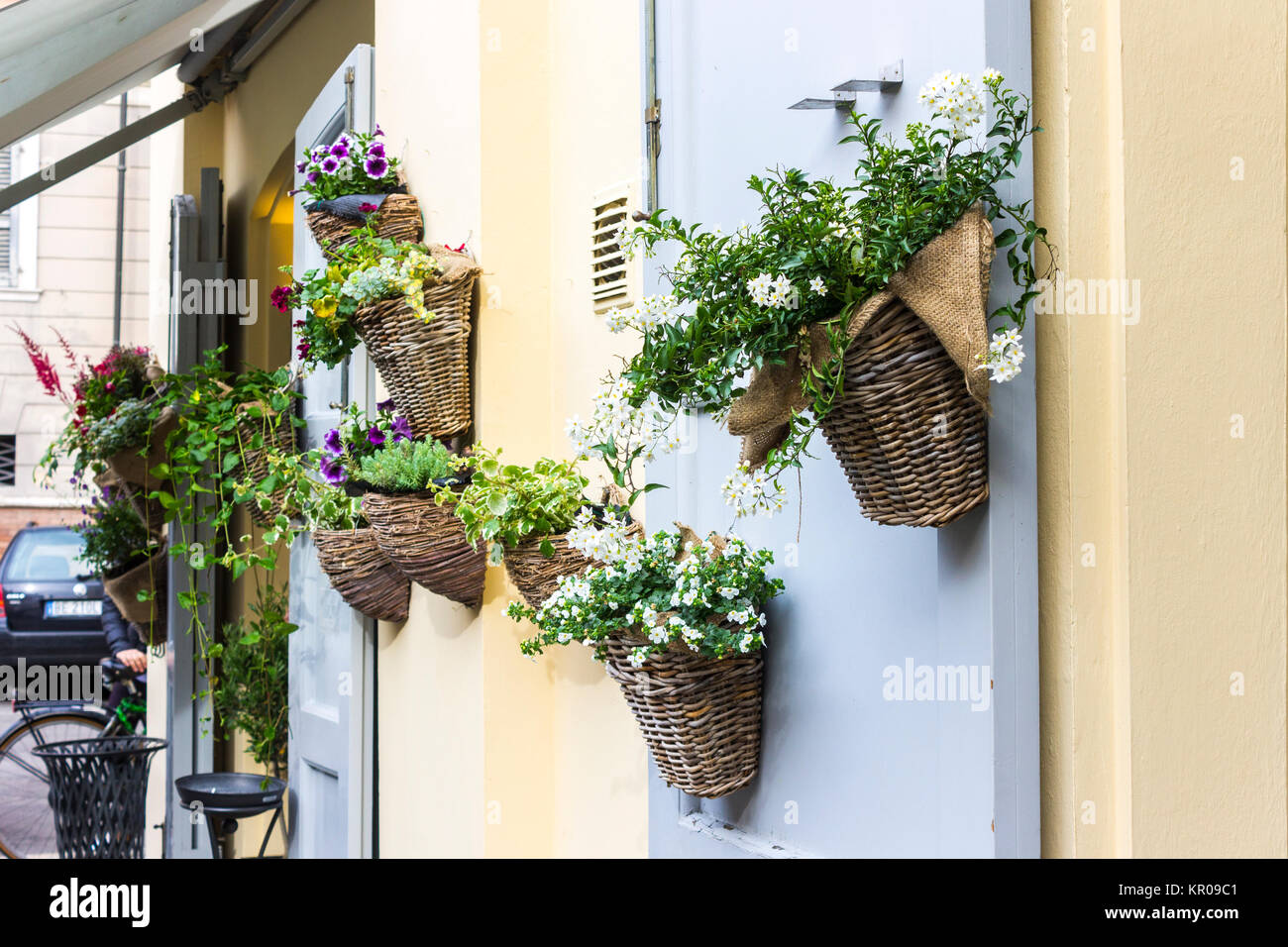 Flower pots hanging on the wall of a restaurant in Modena, Italy Stock Photo