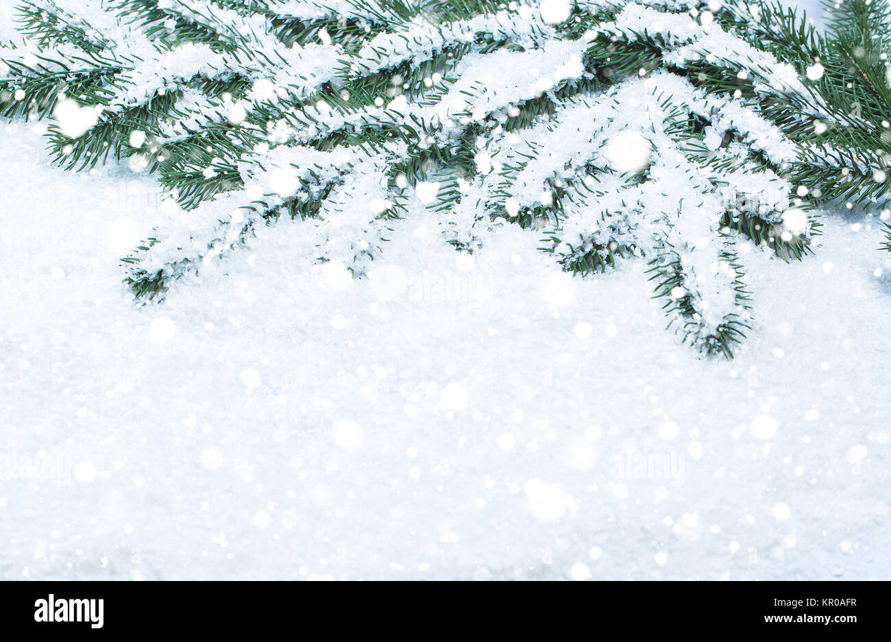 Christmas fir tree frame on white snow background. Free space Stock ...