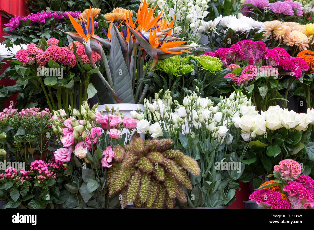 fresh flowers in front of a flower shop Stock Photo