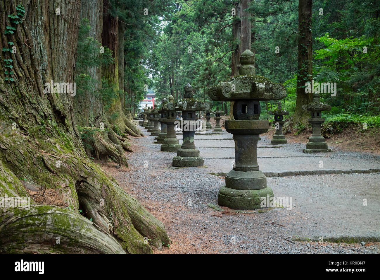 Fujiyoshida city, Japan - June 13, 2017  Fujiyoshida Sengen Shrine by a long approach lined by stone lanterns and shaded by tall cedar trees Stock Photo
