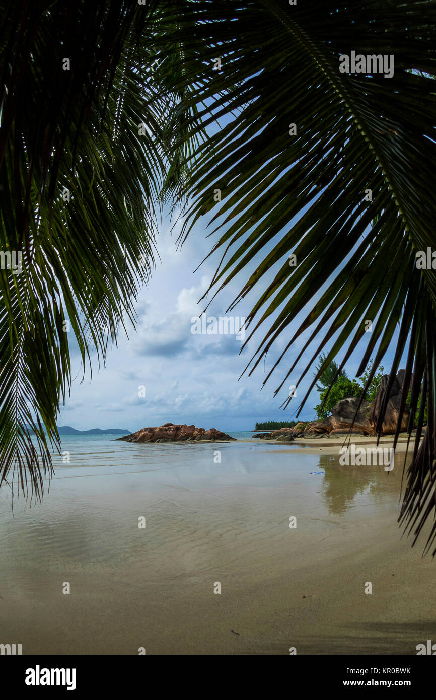 coast on praslin at anse madge Stock Photo