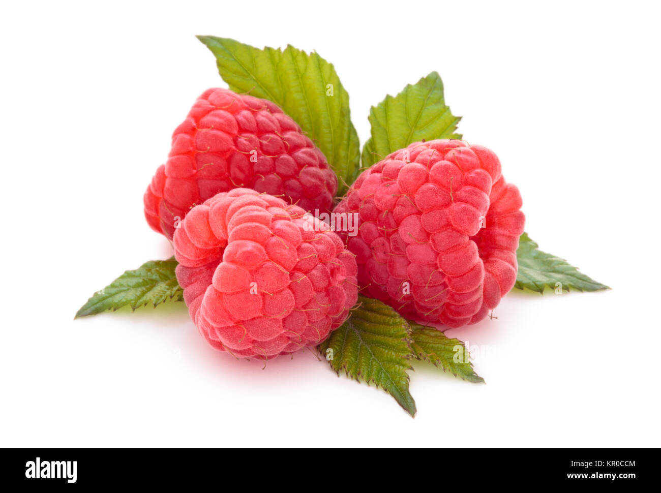 Fresh raspberries with leaves. Stock Photo