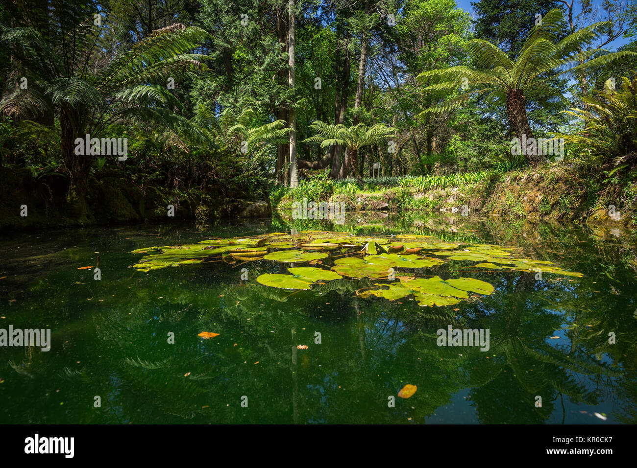 Garden Of Eden Garden Located In Sintra Portugal Stock Photo