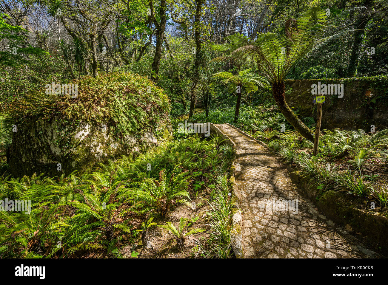Garden Of Eden Garden Located In Sintra Portugal Stock Photo