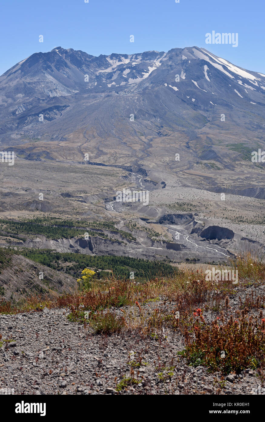 Mount St. Helens volcano in Washington State, USA Stock Photo - Alamy