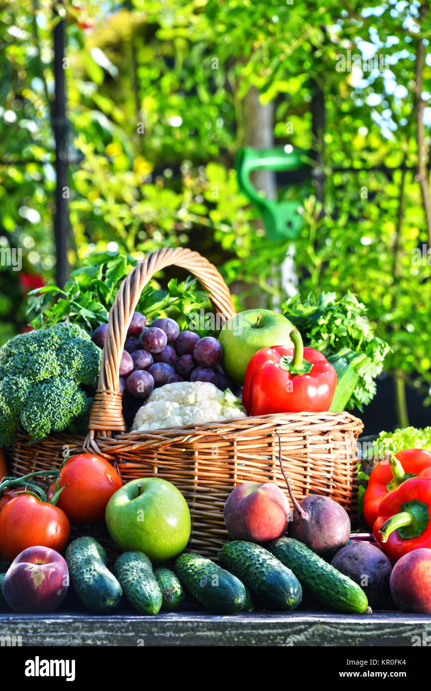 Variety of fresh organic vegetables and fruits in the garden Stock ...