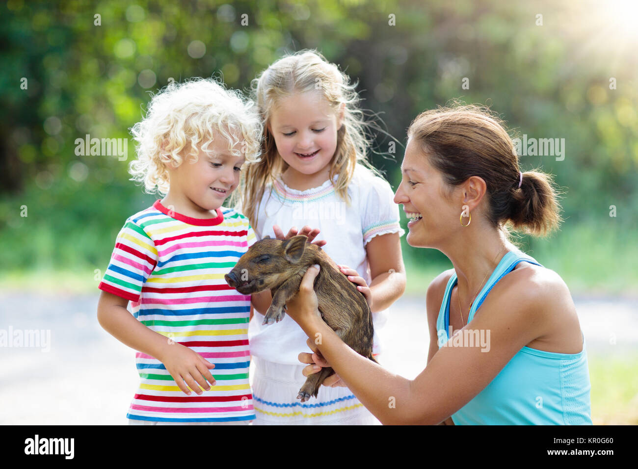 Kids play with farm animals. Child feeding domestic animal. Mother, little boy and girl hold wild boar baby at petting zoo. Kid playing with newborn p Stock Photo