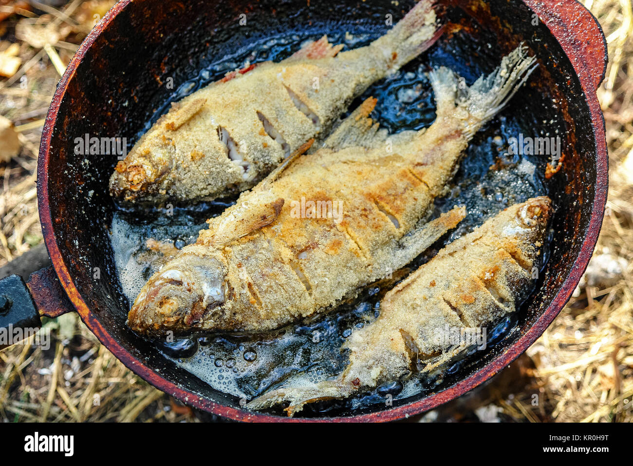https://c8.alamy.com/comp/KR0H9T/river-fish-fried-in-a-frying-pan-KR0H9T.jpg