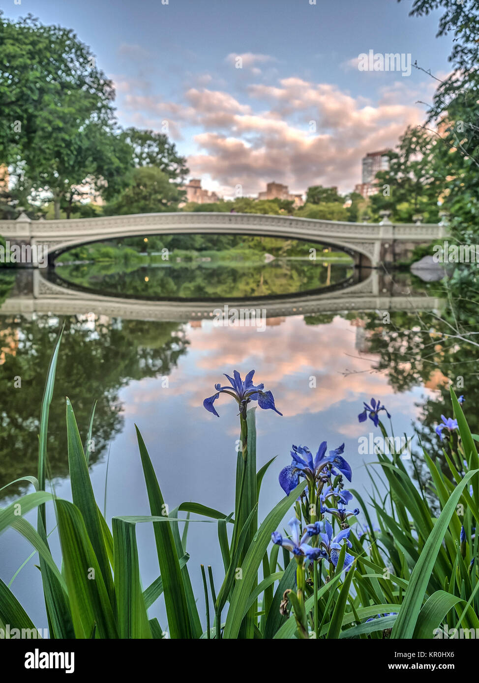 The Bow Bridge is a cast iron bridge located in Central Park, New York ...