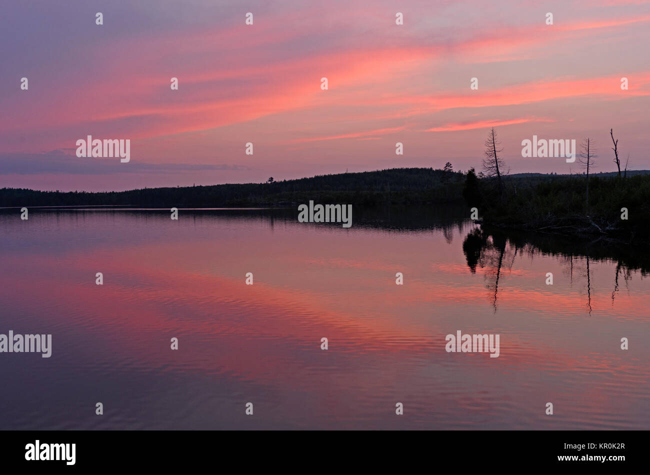 Pink Reflections at Twilight on LIttle Saganaga Lake in the Boundary Waters in Minnesota Stock Photo