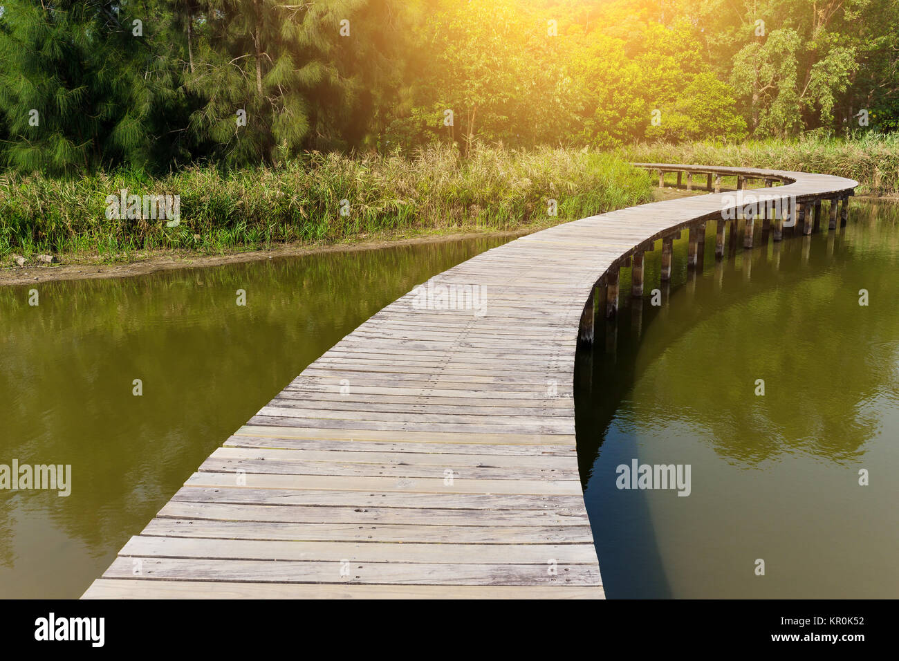 Wooden path with lake Stock Photo - Alamy