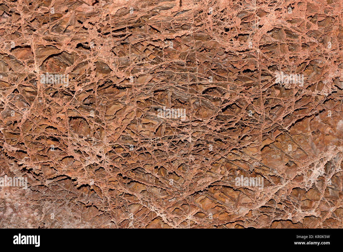 Boxwork Formations in a Cave Ceiling in Wind Cave National Park in South Dakota Stock Photo