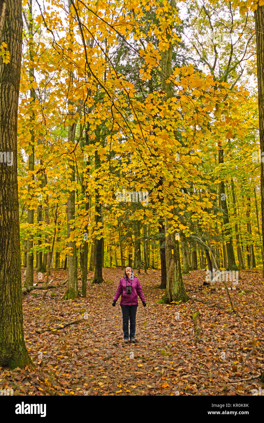 Revelling in the Beauty of Fall in Potawatomi State Park in Wisconsin. Stock Photo