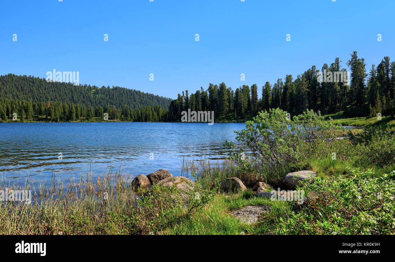 Shore of blue lake in taiga. Nature Park Ergaki. Western Sayan. Russia Stock Photo