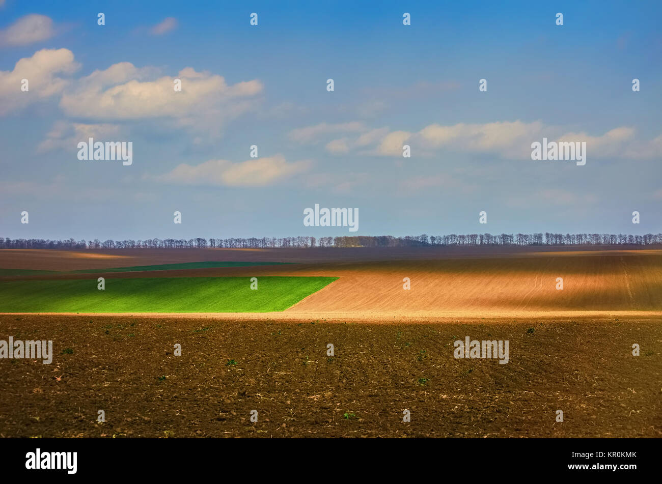 Fields on Cloudy Day Stock Photo - Alamy